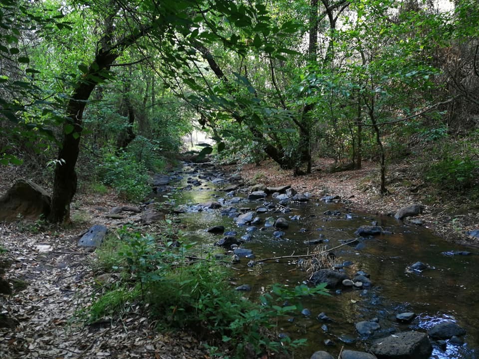 Cañadas del Río Chiquito, riqueza natural en el municipio de Morelia