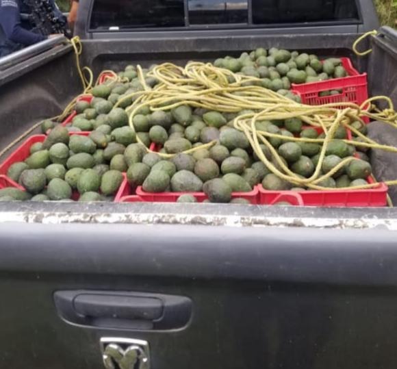 Detiene SSP a cuatro en posesión de camión con reporte de robo y aguacate