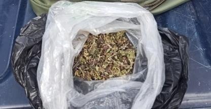 Asegura SSP a dos en posesión de hierba verde seca, al parecer marihuana