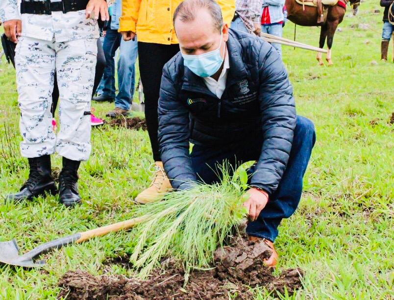 Con la protección de la fruticultura en Michoacán, se rinde homenaje al Día del Árbol