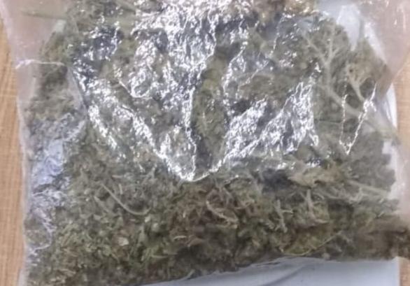 Detiene SSP a uno en posesión de hierba verde seca, al parecer marihuana
