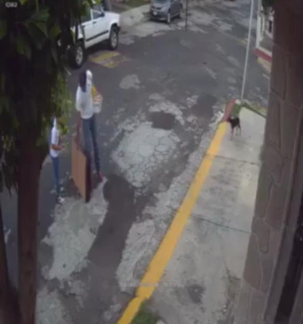 Presunto agresor de perritos, se defiende