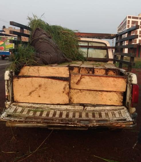Asegura SSP camioneta cargada con madera ilegal, en Maravatío