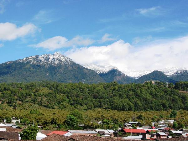Pico de Tancítaro, corredor biológico natural protegido desde 1940