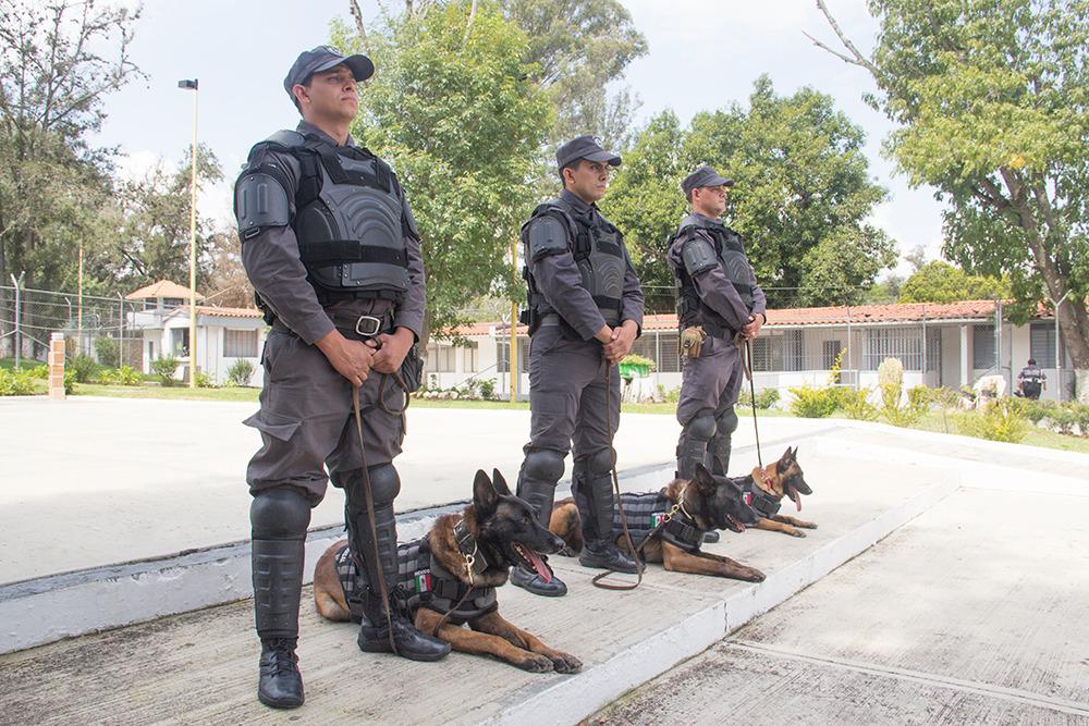 Certifican Unidad Canina del Sistema Penitenciario de Michoacán