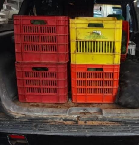 Asegura SSP a cuatro en posesión de 360 kilos de aguacate presuntamente ilícito, en Uruapan