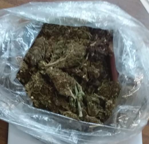 Asegura SSP a una en posesión de marihuana, en Zitácuaro