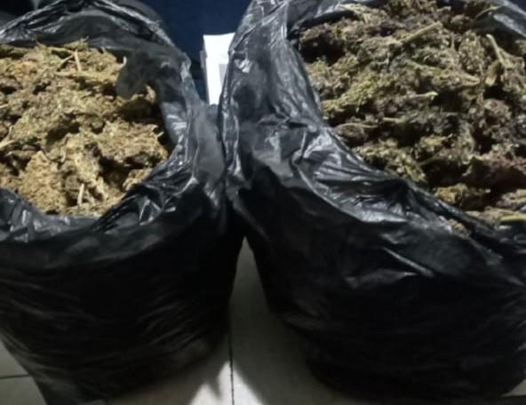 Detienen SSP a uno en posesión de más de 2 kilos de marihuana y 12 celulares