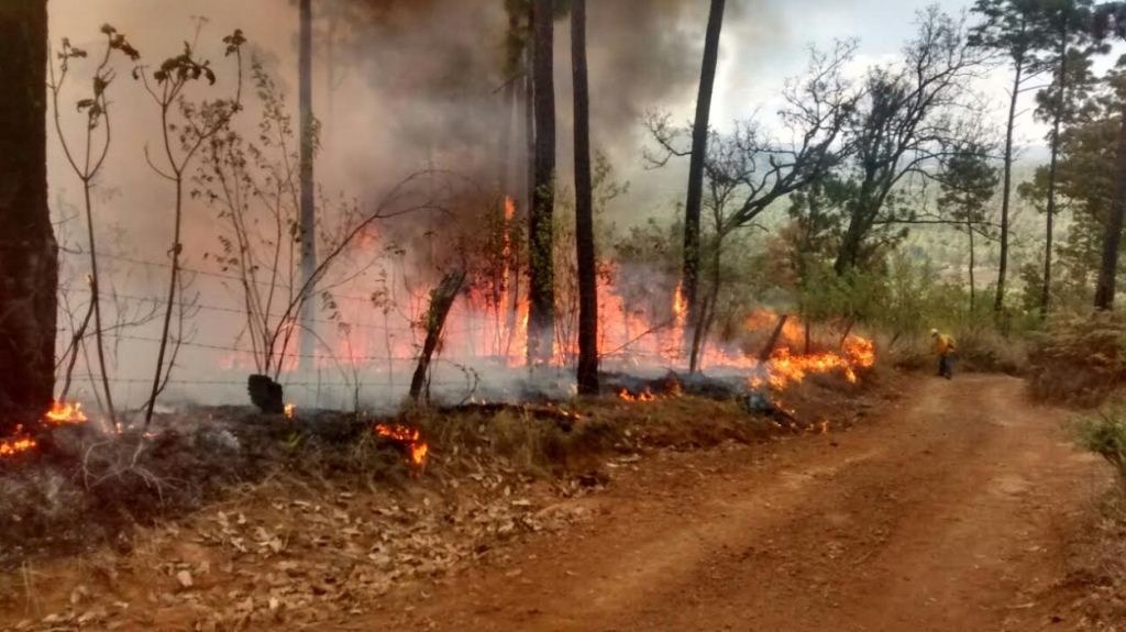 Gobierno de Morelia previene y combate incendios forestales