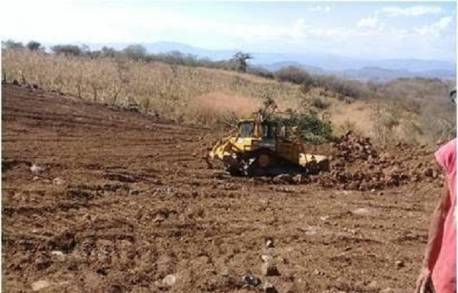 Rehabilita Gobierno de Michoacán 164 km de caminos saca cosechas en Tiquicheo