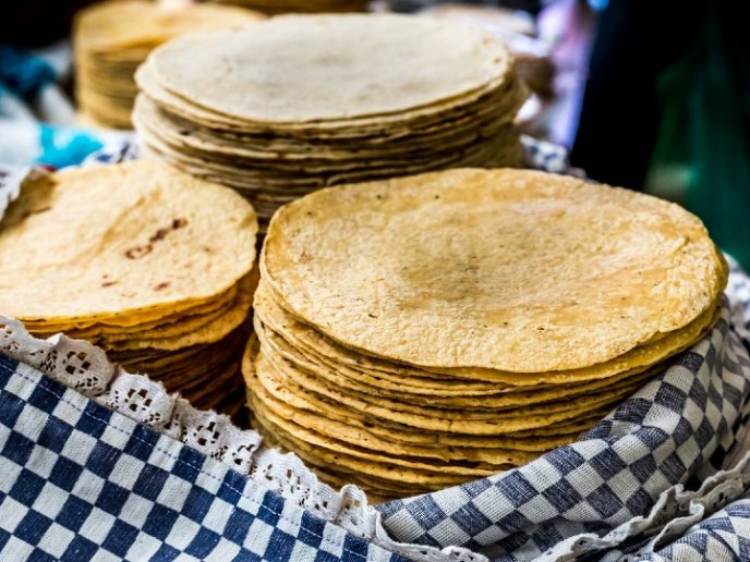 Se prevé incremento en precio de la tortilla; alcanzará 24 pesos por kilo