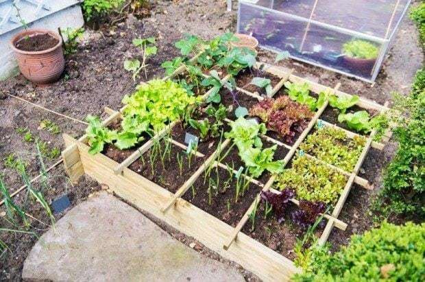 Residuos orgánicos pueden favorecer de forma natural los jardines