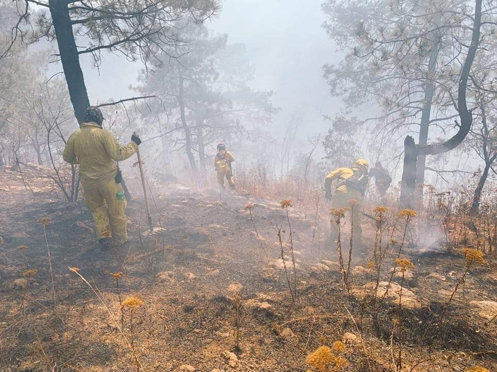 Michoacán, tercer lugar nacional en Incendios forestales