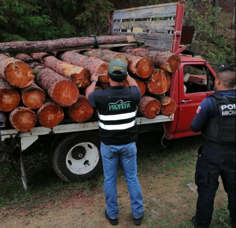 Tras denuncia anónima, SSP asegura rollos de madera en Senguio