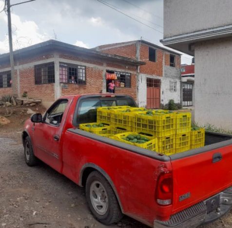 SSP decomisa cargamento de aguacate presuntamente ilícito, en Uruapan