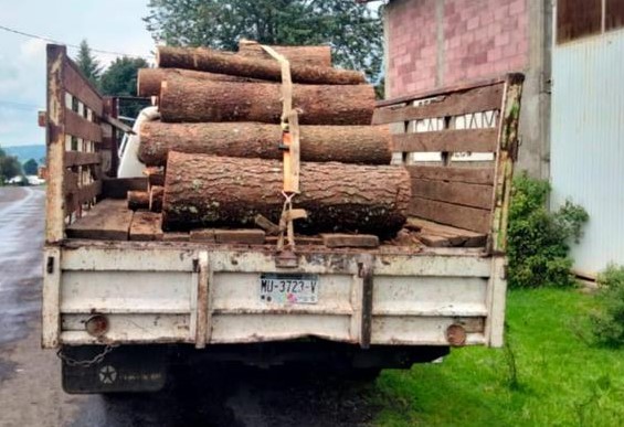 En Salvador Escalante, asegura SSP a dos en posesión de rollos de madera al parecer ilegal