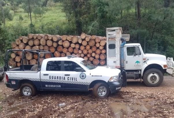 En Madero, Guardia Civil asegura vehículo cargado de madera no acreditada