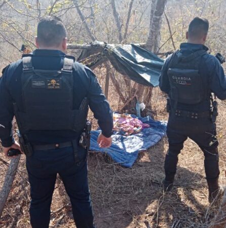 Guardia Civil asegura y desmantela campamento clandestino en Huetamo