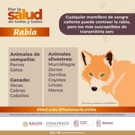 Arranca hoy en Michoacán campaña de vacunación antirrábica a gatos
