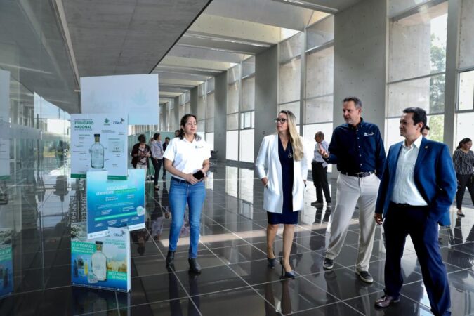Alianza internacional para validar variedades de aguacate en México; #UMSNH, dispuesta a contribuir en la ciencia