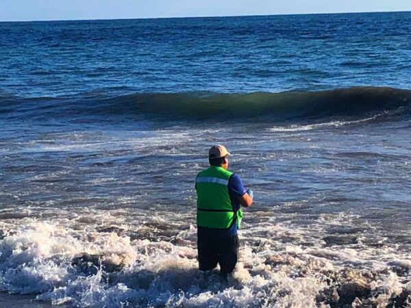 Se vigila sanidad de 12 playas michoacanas