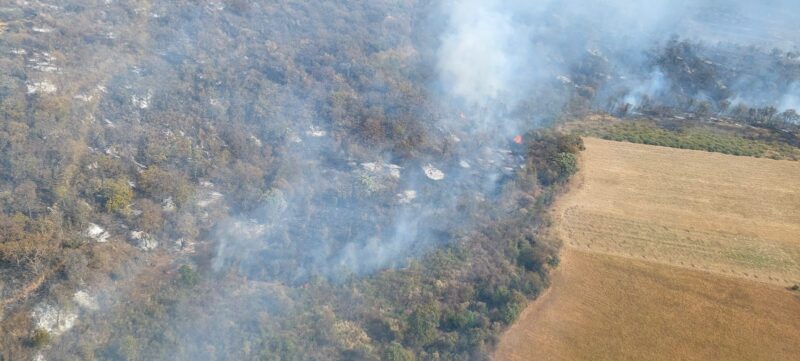 Brigadistas atienden 6 incendios forestales en Michoacán