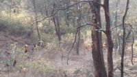 Brigadistas atienden 2 incendios forestales en Coalcomán-Chinicuila y Erongarícuaro 