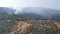 Controlado al 100 % el incendio forestal en Ario gracias al helicóptero con helibalde 