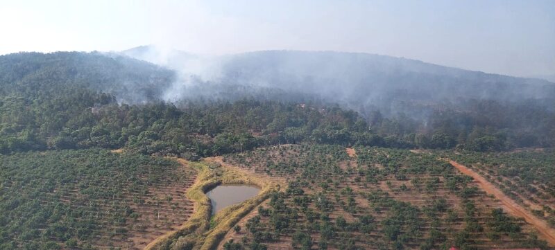 Controlado al 100 % el incendio forestal en Ario gracias al helicóptero con helibalde