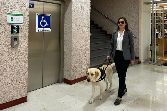 Poder Judicial abre sus puertas a animales de servicio, asistencia y/o terapia que acompañen a personas con discapacidad