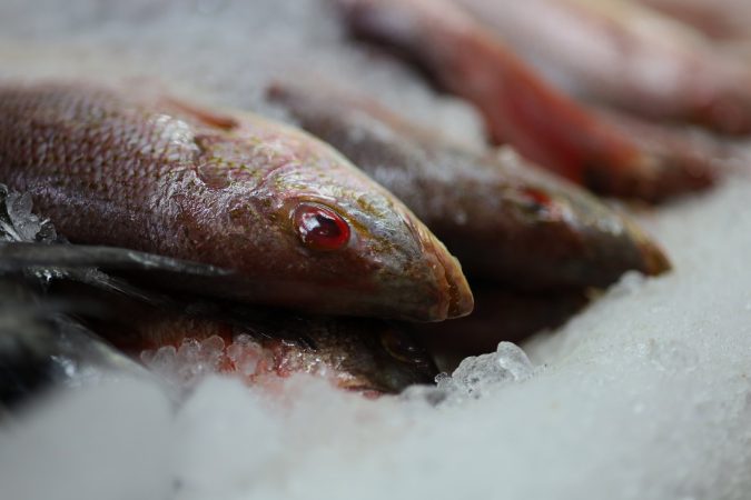 SSM emite recomendaciones para el manejo y descongelación segura de mariscos