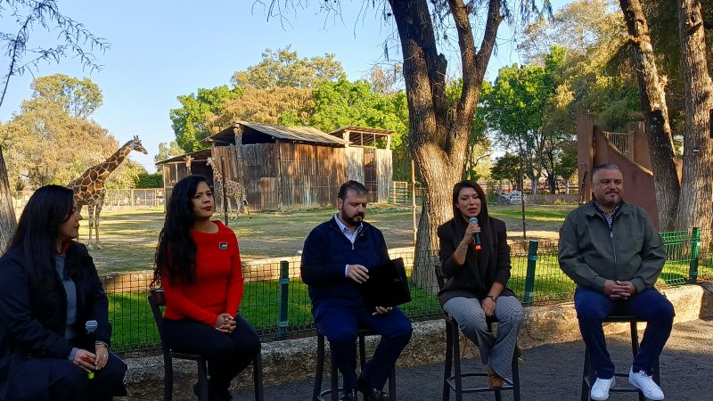 Más de 2 mil matrimonios gratuitos, el 14 de febrero