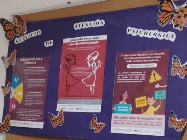 SSM brinda atención médica y psicológica a mujeres en situación de violencia