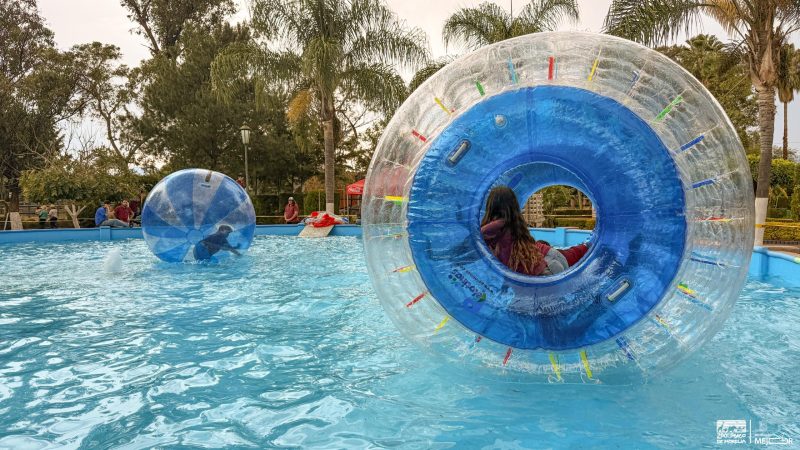 ¡Burbujas gigantes y diversión acuática! El zoológico estrena atractivos estas vacaciones