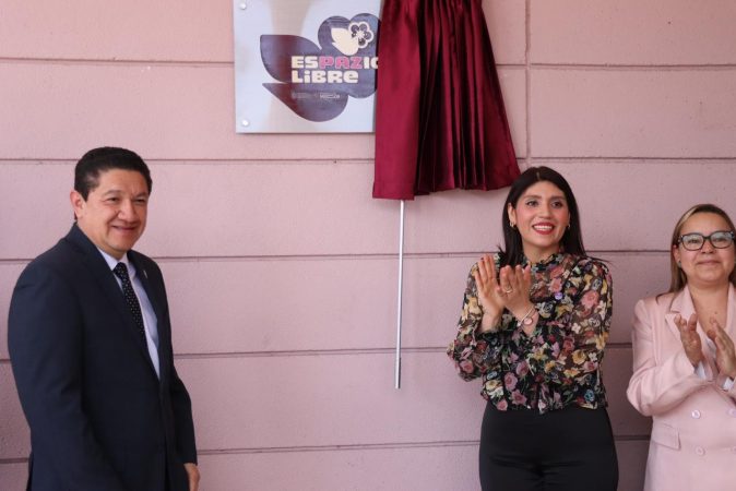 Poder Judicial de Michoacán se convierte en “Espazio Libre” de violencia: Seimujer