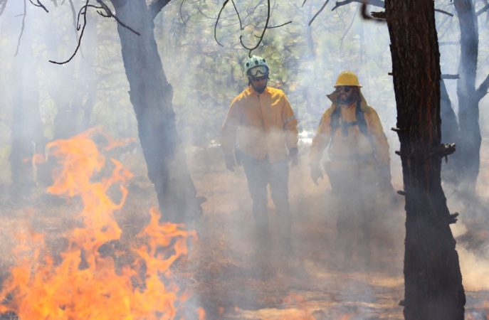 Atiende Gobierno de Michoacán incendio forestal en Nuevo Urecho