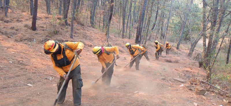 Controlado al 100 % incendio en Nuevo Urecho