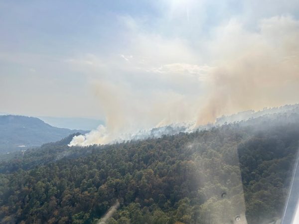 Atiende Gobierno de Michoacán incendio forestal en Salvador Escalante