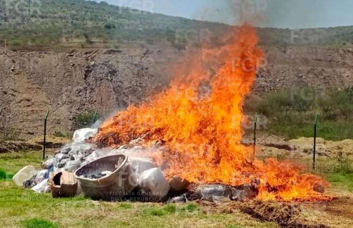 Incinera FGR más de cinco toneladas de narcóticos en Michoacán