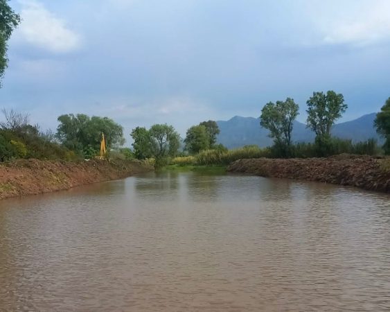 Hallazgo de tres nuevos manantiales consolidan rescate del lago de Pátzcuaro: Bedolla