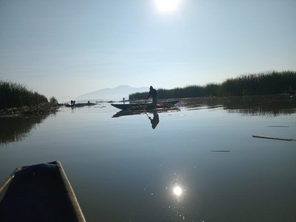 El lago de Pátzcuaro recobra vida; en 2026 se han descubierto 18 manantiales