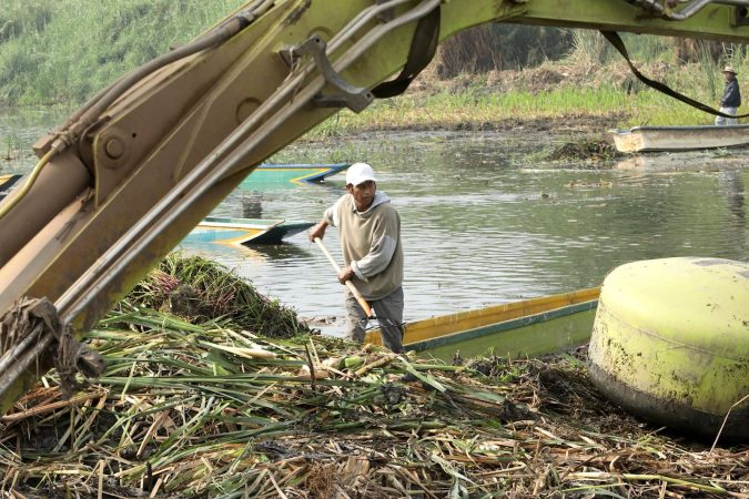 Avanza limpieza de canales en el lago de Pátzcuaro; empleos temporales devuelven su vida: Bedolla
