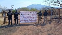 SSP brinda apoyo en cateos en Tzitzio; detenidas 4 personas 
