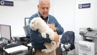 Investiga FGE posible caso de maltrato animal tras difusión de video en redes sociales 