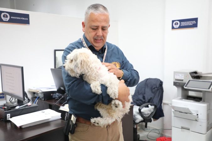 Investiga FGE posible caso de maltrato animal tras difusión de video en redes sociales