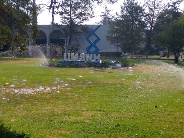 Ni a los trabajadores “aliados” atiende la “super rectora”: SUEUM