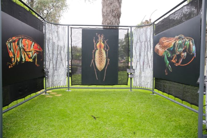 “Insectus” llega con ciencia, arte y experiencias para toda la familia: Gabriela Molina